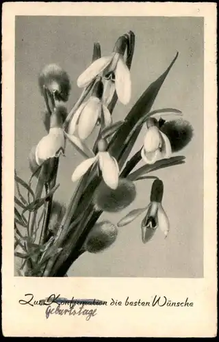 ALTE POSTKARTE ZUR KONFIRMATION DIE BESTEN WÜNSCHE SCHNEEGLÖCKCHEN snowdrop perce-neige Blume Flower Fleur postcard cpa