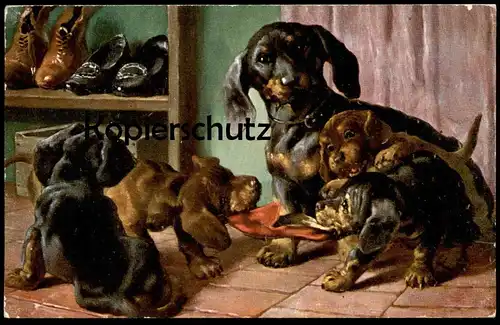ALTE POSTKARTE DACKEL WELPEN SPIELEN Schuhe shoes Hund Dachshund Teckel dog chien Ansichtskarte AK postcard cpa