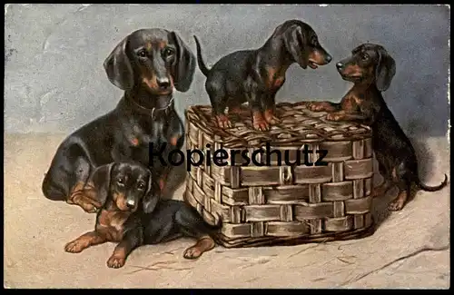 ALTE POSTKARTE DACKEL WELPEN SPIELEN KORB HÜNDIN Hund Dachshund Teckel dog chien Ansichtskarte AK postcard cpa
