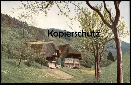 ALTE POSTKARTE SCHWARZWALDHAUS BAUERNHAUS IM SCHWARZWALD FARBENPHOTOGRAPHIE VON HANS HILDENBRAND LUMIÈRE BLACK FOREST