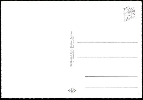 ÄLTERE POSTKARTE NORDSEEBAD BORKUM HAUS HUISMANN SPRINGFLUT M.S. Ostfriesland Badeleben Dünenexpress Ansichtskarte