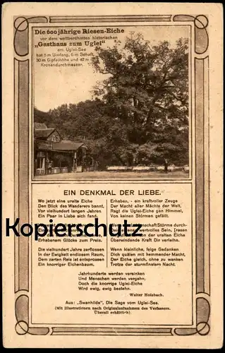 ALTE POSTKARTE GASTHAUS ZUM UGLEI 600 JAHRE ALTE EICHE DENKMAL DER LIEBE Uklei Eutin Baum Oak Tree Chene Arbre