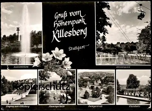 ÄLTERE POSTKARTE STUTTGART GRUSS VOM HÖHENPARK KILLESBERG Flamingo flamant Flamingos Kleinbahn Ansichtskarte postcard AK