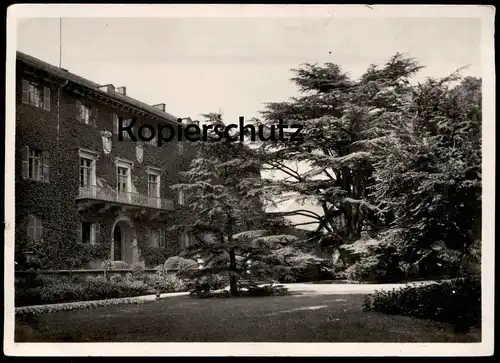 ALTE POSTKARTE SCHLOSS HOMBURG SITZ DER LANDGRAFEN V. HESSEN-NASSAU ANSICHT VON SÜDOSTEN MIT CEDER Zeder Ansichtskarte