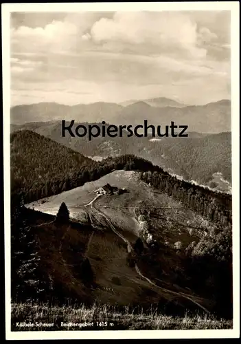 ALTE POSTKARTE KÄLBELE-SCHEUER BELCHENGEBIET MÜNSTERTAL KÄLBELESCHEUER Belchen Schwarzwald AK Ansichtskarte postcard cpa