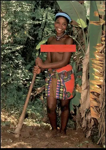 ÄLTERE POSTKARTE AFRICAN LIFE NATAL Africa femme nu nue nus nude breast woman nudity nackte Frau nackt seins postcard