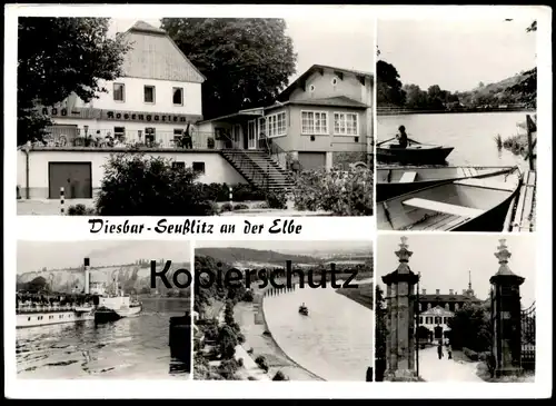 ALTE POSTKARTE DIESBAR SEUSSLITZ AN DER ELBE Schiff Krippen Dampfer ship Ansichtskarte postcard cpa AK