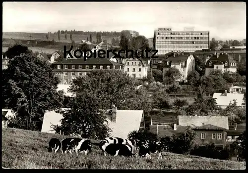 ÄLTERE POSTKARTE NIEDERWÜRSCHNITZ KREIS STOLLBERG Kühe Kuh cow cows Rinder vache Sachsen Lugau Ansichtskarte postcard