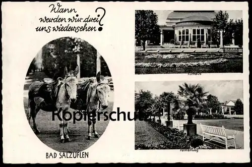 ALTE POSTKARTE BAD SALZUFLEN ESEL HUMOR WANN SEHEN WIR DREI UNS WIEDER Palmenweg donkey ane cpa postcard Ansichtskarte