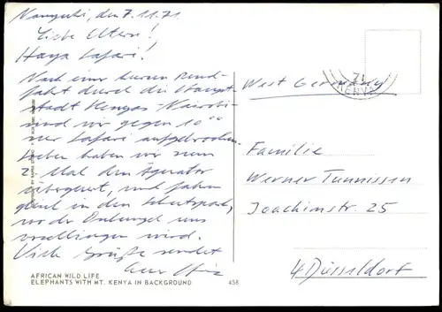 ÄLTERE POSTKARTE ELEPHANTS WITH MOUNT KENYA IN BACKGROUND AFRICAN WILD LIFE Afrika Africa Elephant Elefant Kenia