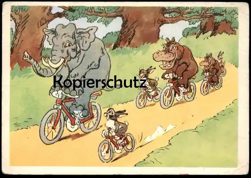 ÄLTERE POSTKARTE HIPPOS ELEFANTEN VERMENSCHLICHT Nilpferd Fahrrad elephant elephants tusker hippopotame Elefant bike cpa