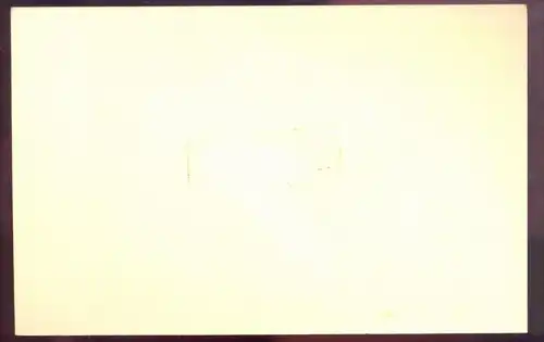 ALTE KARTE PTERODACTYLUS FOUND IN THE MIDLANDS Saurier saurien saurian Dinosaurier dinosaur reptile postcard