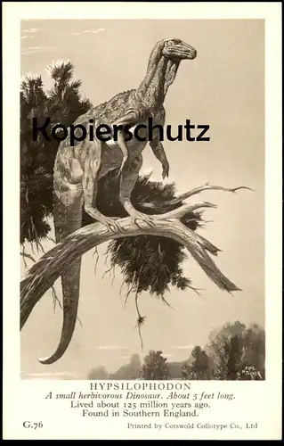 ALTE KARTE HYPSILOPHODON FOUND IN SOUTERHN ENGLAND Saurier saurien saurian Dinosaurier dinosaur reptile postcard cpa