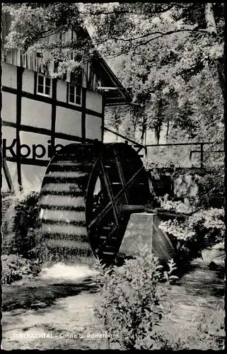 ÄLTERE POSTKARTE FURLBACHTAL SENNE BEI PADERBORN WASSERMÜHLE Mühlstein Mühlrad Mühle mill moulin Ansichtskarte postcard