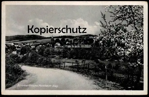 ALTE POSTKARTE SOMMERFRISCHE MORSBACH SIEG TOTALANSICHT Kirschblüte Gesamtansicht Total Ansichtskarte cpa AK postcard