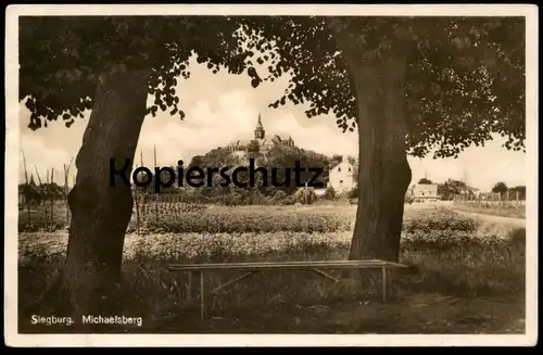 ALTE POSTKARTE SIEGBURG MICHAELSBERG BÄUME BANK cpa postcard AK Ansichtskarte