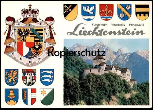 ÄLTERE POSTKARTE FÜRSTENTUM LIECHTENSTEIN PRINCIPALITY PRINCIPAUTÉ Wappen blason coat of arms Ansichtskarte cpa postcard