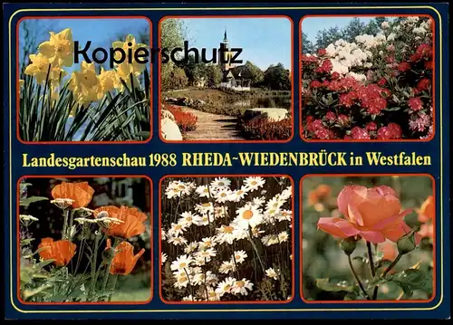 ÄLTERE POSTKARTE LANDESGARTENSCHAU 1988 REHDA-WIEDENBRÜCK Narzissen Narzisse daffodil cpa postcard AK Ansichtskarte