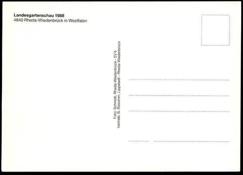 ÄLTERE POSTKARTE LANDESGARTENSCHAU 1988 REHDA-WIEDENBRÜCK Narzissen Narzisse daffodil cpa postcard AK Ansichtskarte