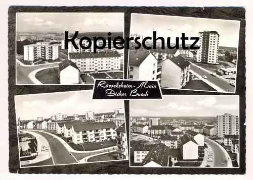 ÄLTERE POSTKARTE RÜSSELSHEIM MAIN DICKER BUSCH Ansichtskarte AK cpa postcard