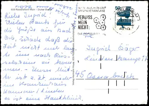 ÄLTERE POSTKARTE RÜSSELSHEIM MAIN DICKER BUSCH Ansichtskarte AK cpa postcard