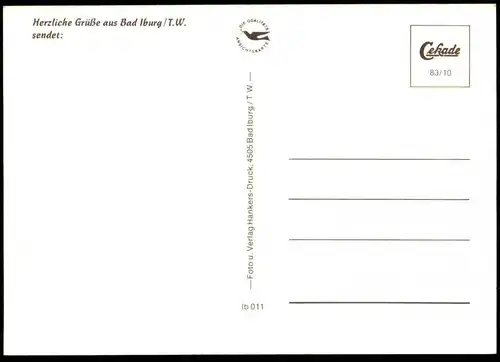 ÄLTERE POSTKARTE BAD IBURG ZEPPELINSTEIN HIER STRANDETE LUFTSCHIFF Z 7 AM 28.06.1910 airship dirigeable Zeppelin AK cpa