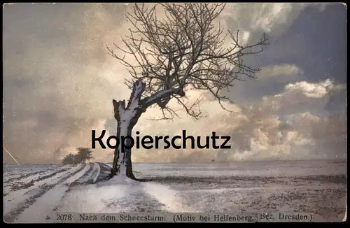 ALTE POSTKARTE NACH DEM SCHNEESTURM MOTIV BEI HELFENBERG BEZIRK DRESDEN SCHÖNFELD-WEISSIG NENKE OSTERMAIER Ansichtskarte