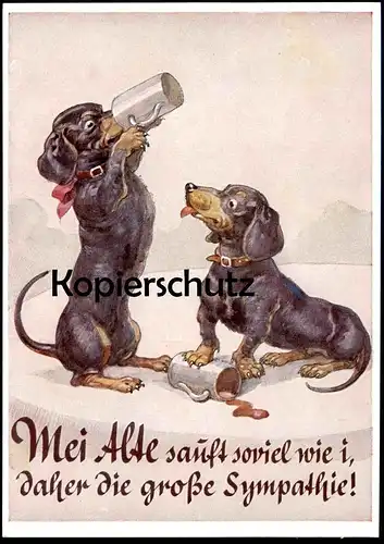 ALTE POSTKARTE DACKEL MEI ALTE SAUFT SOVIEL WIE I DAHER... Hund Dachshund Teckel dog chien Ansichtskarte AK postcard cpa