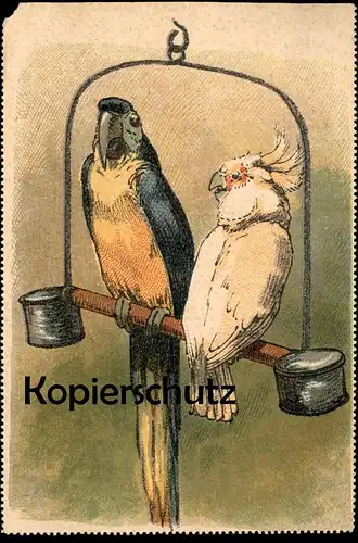 ALTE KÜNSTLER POSTKARTE PAPAGEIEN PAAR AUF EINER STANGE PAPAGEI Parrot Ara Perroquet postcard cpa AK Ansichtskarte