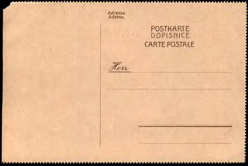 ALTE KÜNSTLER POSTKARTE PAPAGEIEN PAAR AUF EINER STANGE PAPAGEI Parrot Ara Perroquet postcard cpa AK Ansichtskarte