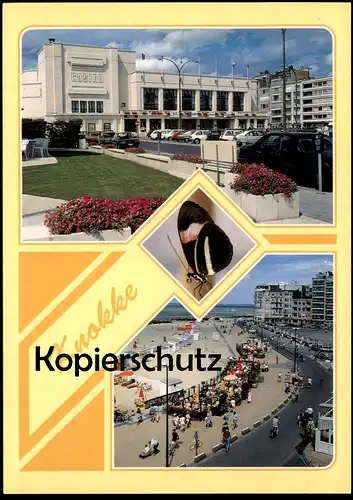 ÄLTERE POSTKARTE KNOKKE SCHMETTERLING ZEBRAFALTER heliconius beskei butterfly papillon cpa postcard AK Ansichtskarte