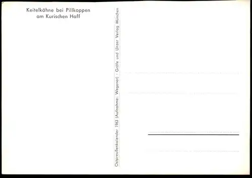 ÄLTERE POSTKARTE KEITELKÄHNE BEI PILLKOPPEN KURISCHES HAFF Kurische Nehrung Rossitten Morskoje postcard AK Ansichtskarte