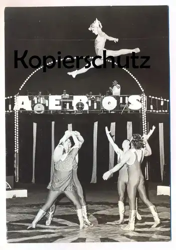 ÄLTERE POSTKARTE STAATSZIRKUS DER DDR DIE DELPHINS WURFAKROBATIK Aeros Akrobat acrobat circus Zirkus Cirque cpa postcard