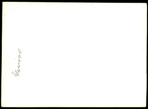 ALTE KARTE LEVICO TERME SEE Gewässer Löweneck Trento Trentino Südtirol Italien Italia italy Ansichtskarte cpa postcard
