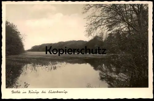 ALTE POSTKARTE PARTIE IN RURUP BEI SÜDERBRARUP See Ruruplund postcard cpa AK Ansichtskarte Schleswig-Holstein