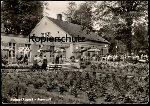 ÄLTERE POSTKARTE PUTBUS AUF RÜGEN ROSENCAFÉ Café cpa AK postcard Ansichtskarte
