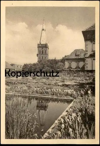 ALTE POSTKARTE OSNABRÜCK BOTANISCHER GARTEN AM SCHLOSSPARK Botanik Garten garden Ansichtskarte AK postcard cpa