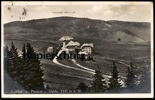 ALTE POSTKARTE GASTHOF UND PENSION ZUR HALDE SCHAUINSLAND 1147m postcard cpa AK Ansichtskarte