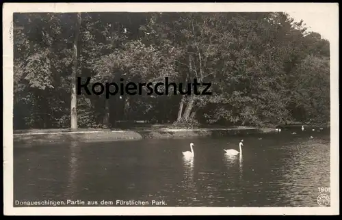ALTE POSTKARTE DONAUESCHINGEN PARTIE AUS DEM FÜRSTLICHEN PARK 1924 Schwäne cygne swan parc Ansichtskarte AK cpa postcard