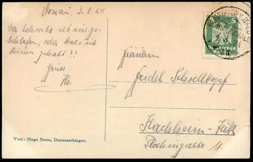 ALTE POSTKARTE DONAUESCHINGEN PARTIE AUS DEM FÜRSTLICHEN PARK 1924 Schwäne cygne swan parc Ansichtskarte AK cpa postcard