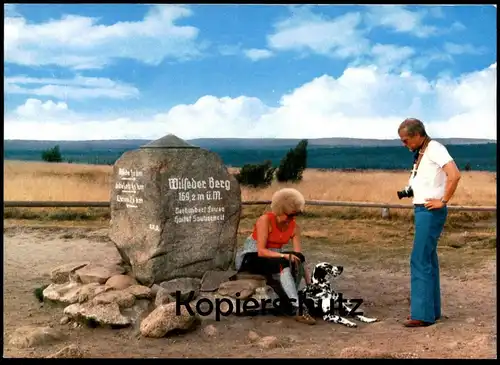 ÄLTERE POSTKARTE DALMATINER WILSEDER BERG Hund dalmatian dog chien dalmatien Ansichtskarte AK postcard cpa
