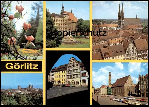 ÄLTERE POSTKARTE GÖRLITZ IM STADTPARK PLATZ DER BEFREIUNG UNTERMARKT LENINPLATZ Zgorzelec Ansichtskarte postcard cpa