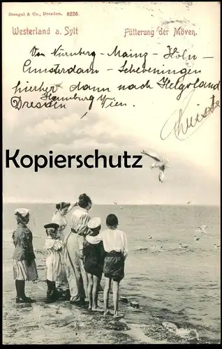 ALTE POSTKARTE WESTERLAND AUF SYLT 1899 FÜTTERUNG DER MÖWEN KINDER KIND MUTTER FRAU AK Ansichtskarte postcard cpa
