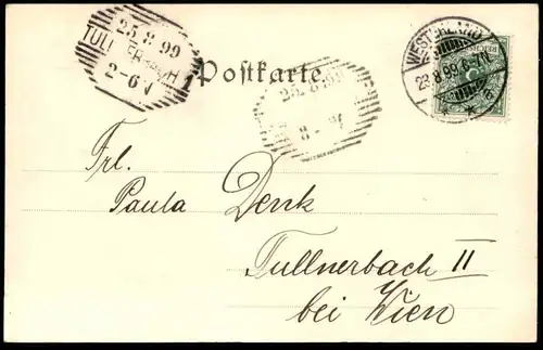 ALTE POSTKARTE WESTERLAND AUF SYLT 1899 FÜTTERUNG DER MÖWEN KINDER KIND MUTTER FRAU AK Ansichtskarte postcard cpa