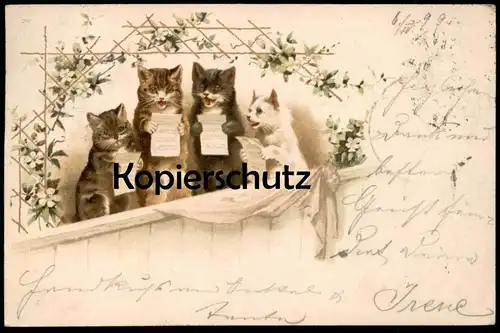 ALTE POSTKARTE KATZEN CHOR SINGENDE TIERE 1899 LIEDERZETTEL VERMENSCHLICHT cat cats chat chats Katze cpa postcard