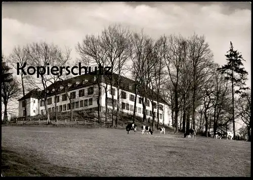ÄLTERE POSTKARTE AACHEN JUGENDHERBERGE COLYNSHOF Kühe cows vaches youth hostel Ansichtskarte postcard cpa AK