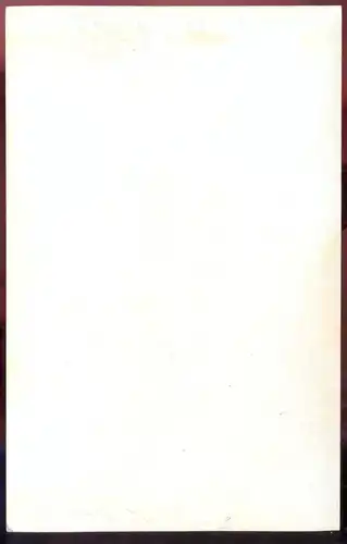 ÄLTERE KARTE UNGARN HALASI CSIPKE MAXIMUMKARTE Carte Maximum Karte Halaser Spitze Decke Halas Stickerei