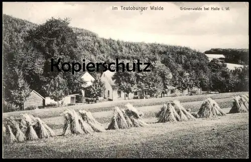 ALTE POSTKARTE GRÜNENWALDE BEI HALLE WESTFALEN HEUERNTE TEUTOBURGER WALDE WALD HEU hay foin cpa postcard Ansichtskarte