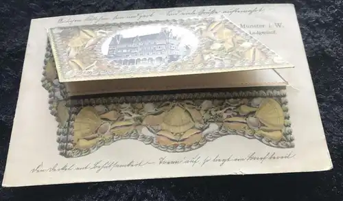 ALTE POSTKARTE MÜNSTER LUDGERIHOF 1902 SYSTEMKARTE SCHMUCKKÄSTCHEN cpa à systeme Ansichtskarte AK postcard