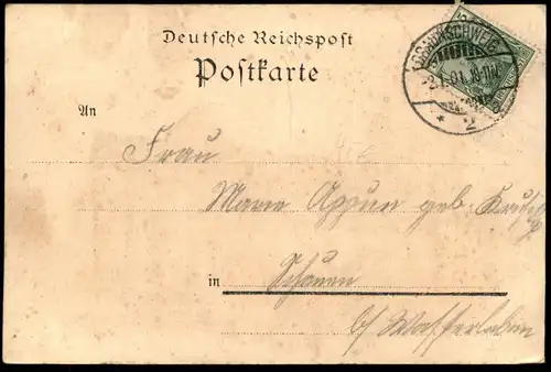 ALTE LITHO POSTKARTE GRUSS AUS BRAUNSCHWEIG 1901 DER DOM Kirche Ansichtskarte AK cpa postcard
